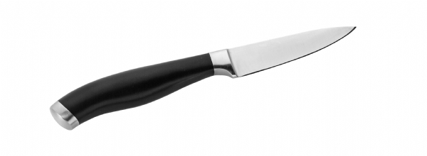 Нож для чистки PINTINOX 10см 741000E2 